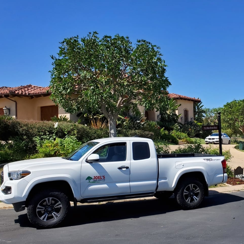 Residential Services