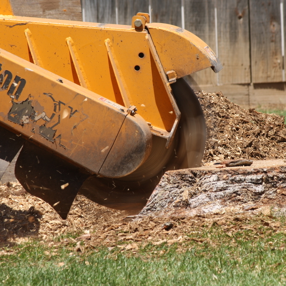 Stump Grinding