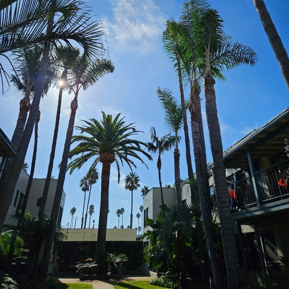 Tree service project photo 14