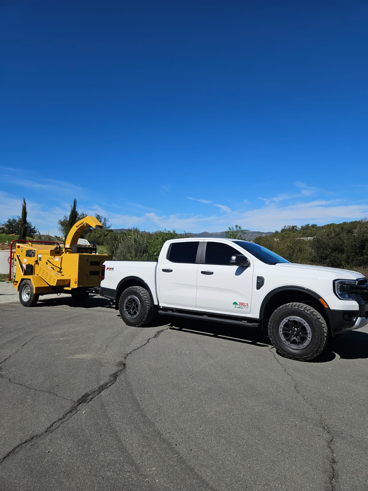 Tree service project photo 19