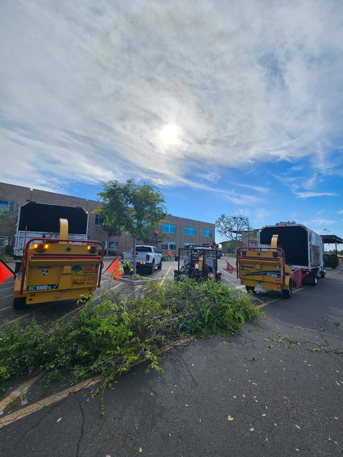 Tree service project photo 20