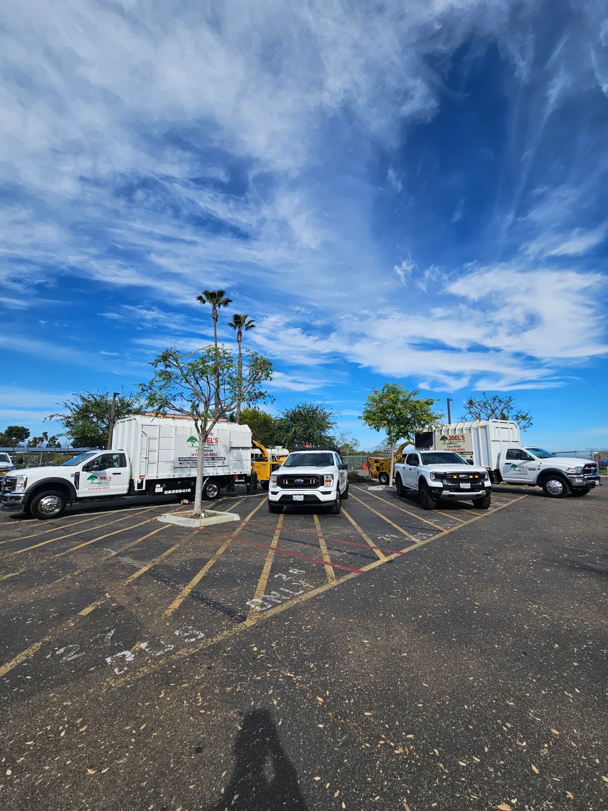 Tree service project photo 21